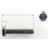 Märklin 75017 Zylinderschraube M2 x 8,0 mm, brünniert