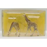 Preiser 20385 Giraffen