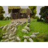 Diorama Schafe auf der Weide